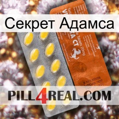 Секрет Адамса 42